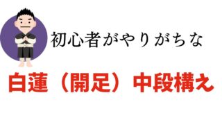 少林寺拳法の初心者がやりがちな構えの修正【白蓮（開足）中段構え編】