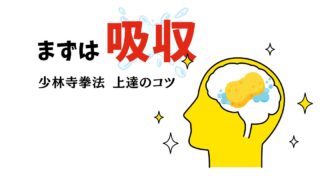少林寺拳法が上達する人の特徴|脳みそスポンジ理論とは