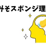 脳みそスポンジ理論